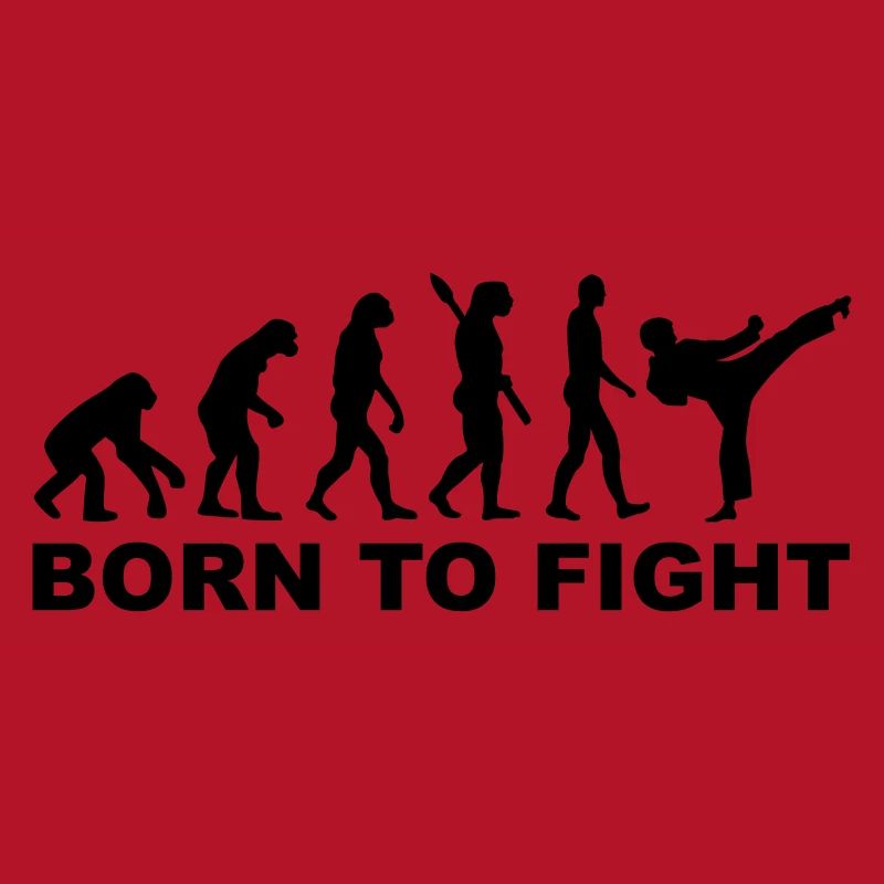 Evolution Karate