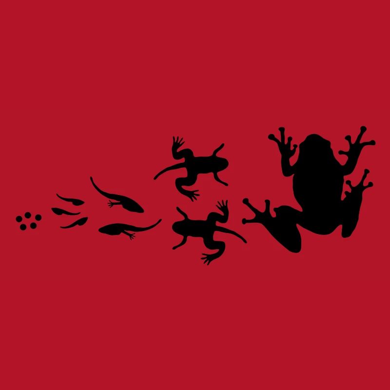 évolution-grenouille