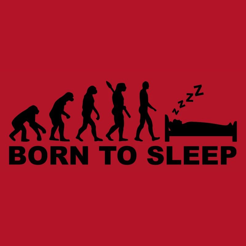 Evolution Dormir