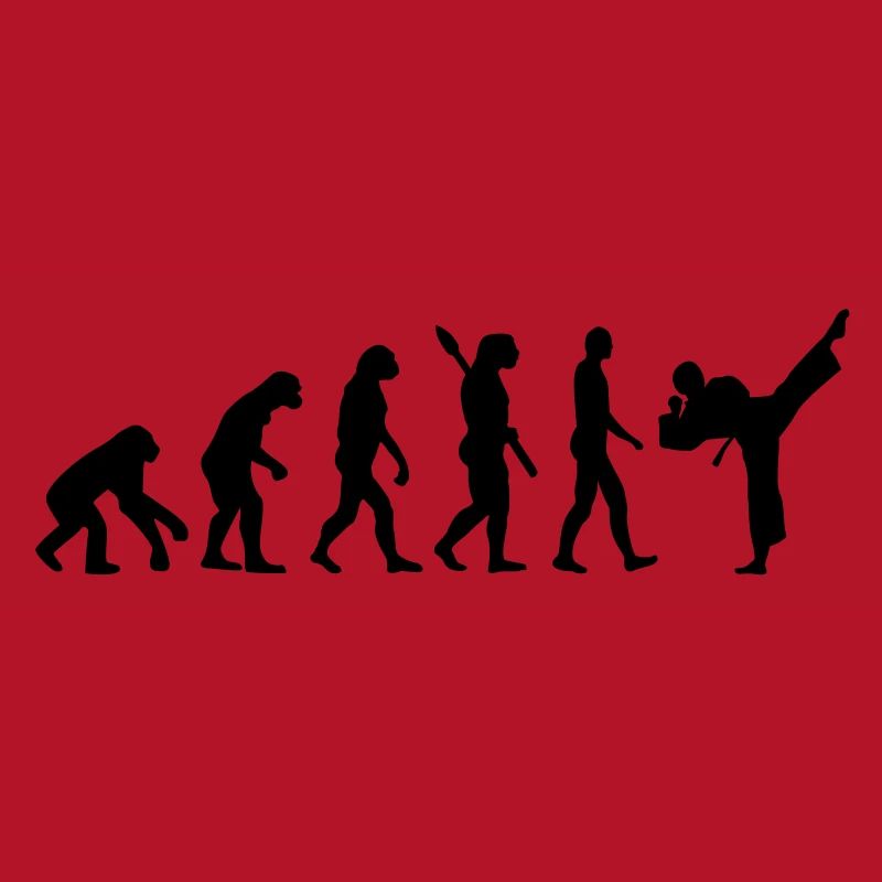 Evolution Karate