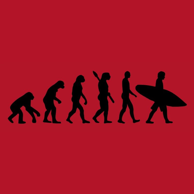 Evolution Surfen