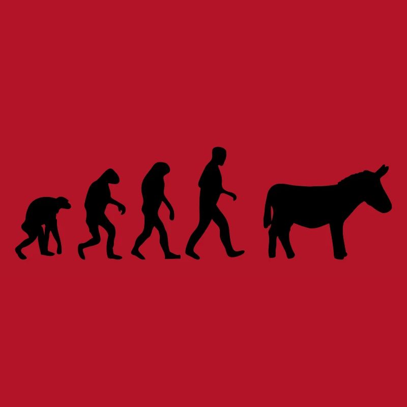 donkey evolution