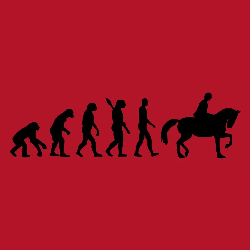 Évolution Cheval