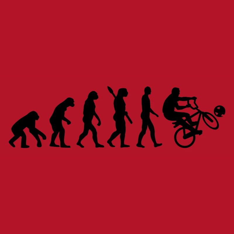Evolution Cycle ball