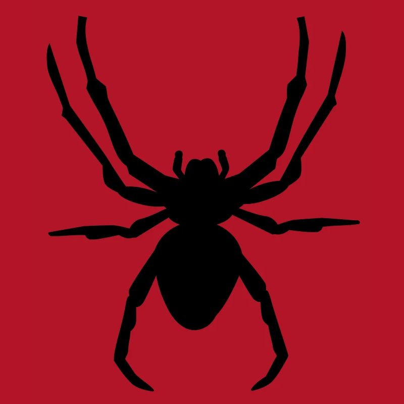 Spinne