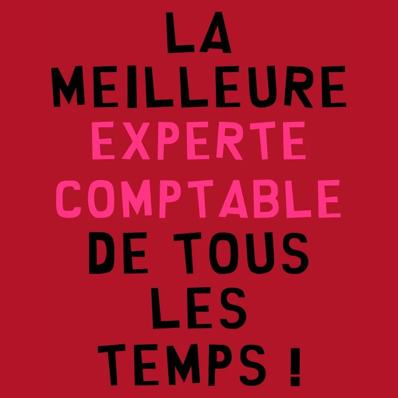 Expert Comptable / Comptabilité / Comptable /