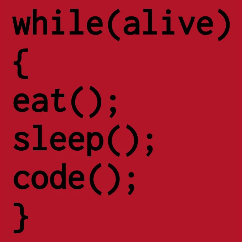 Entwickler / Informatiker / Programmierer /