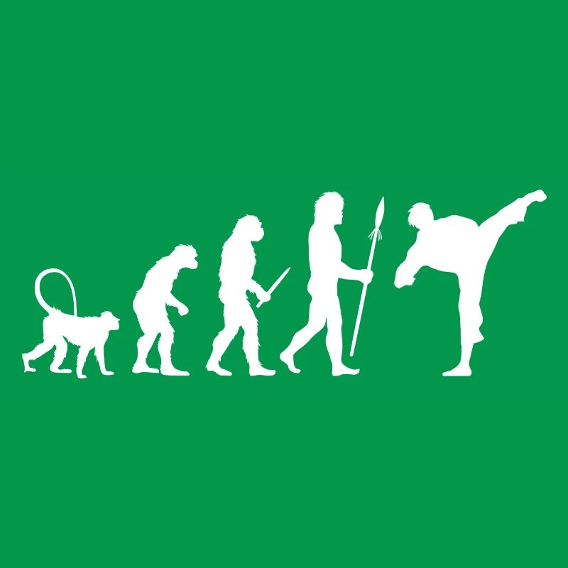 Karate Evolution