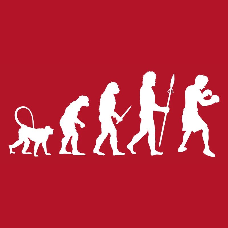 Évolution de la boxe