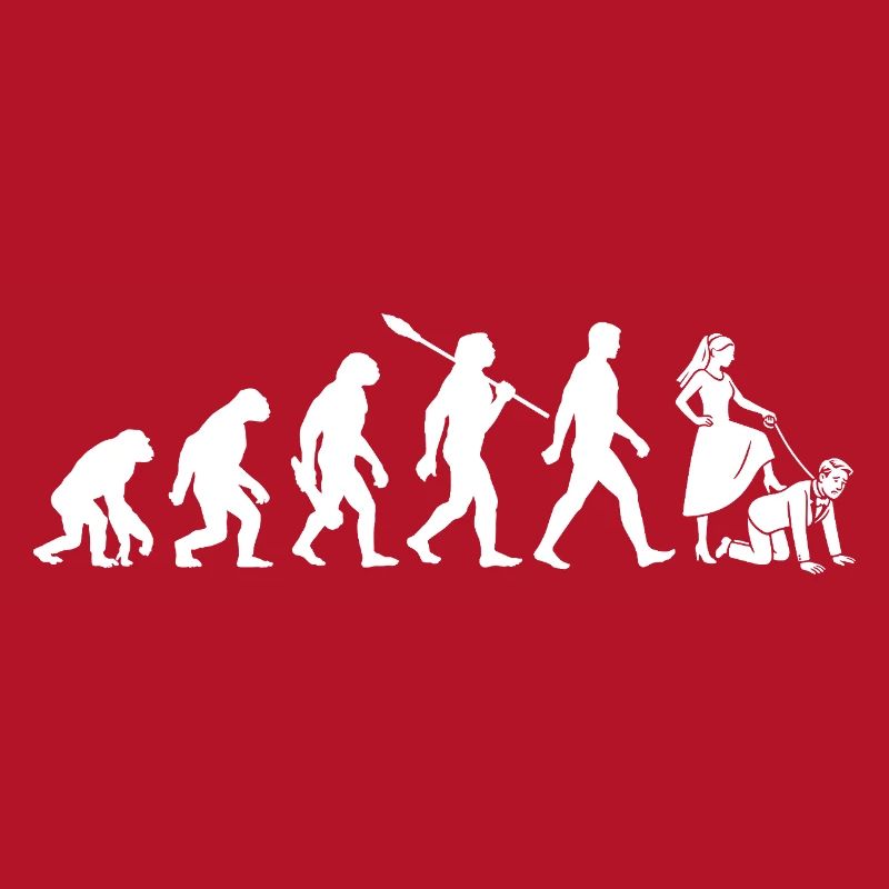 Enterrement de vie de garçon - Evolution Bachelor