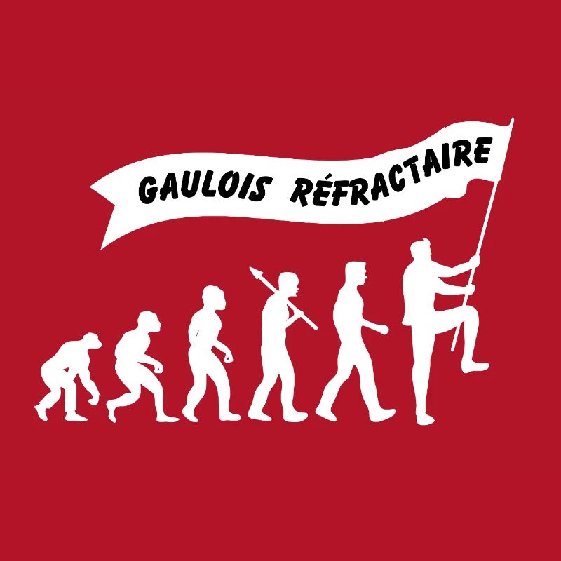 Evolution du gaulois réfractaire