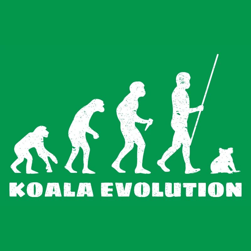 Évolution du koala