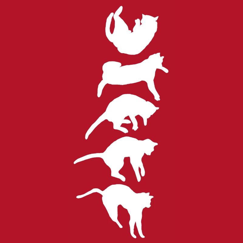 Réflexe de redressement du chat qui tombe