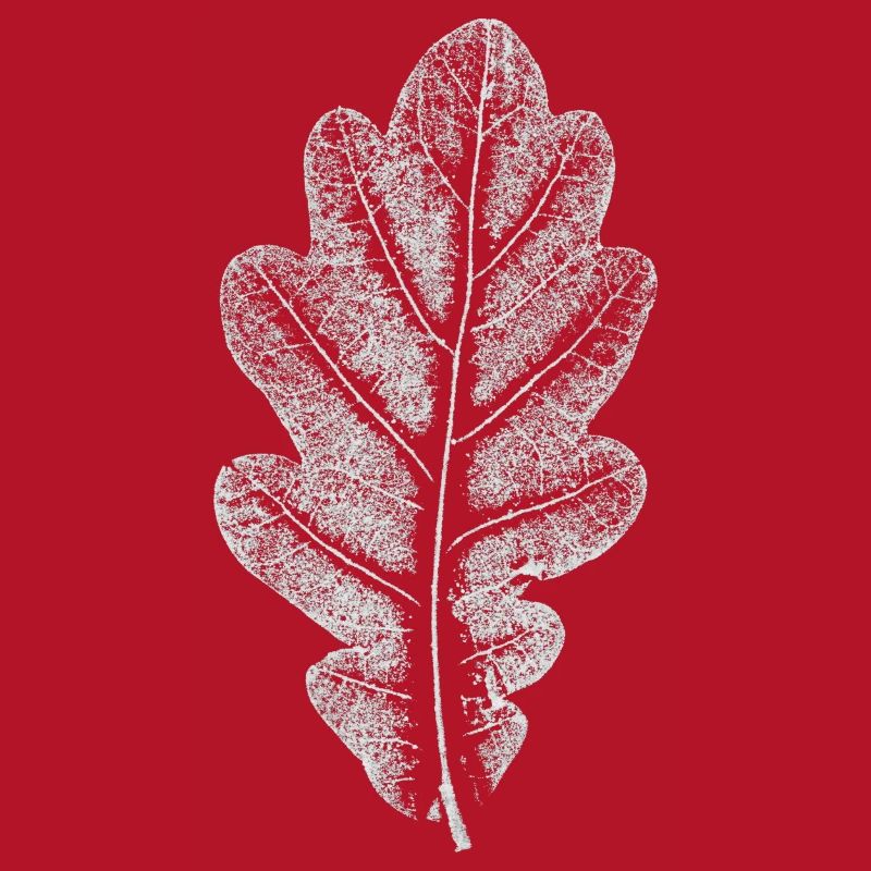 Blatt EICHE / Eichenblatt WEISS