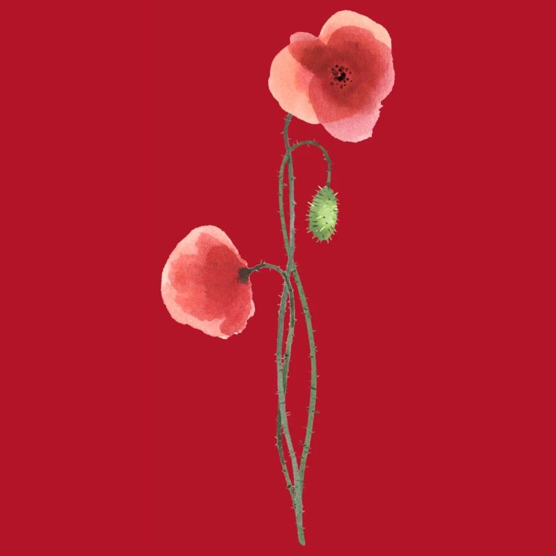 Fleur : coquelicot rouge