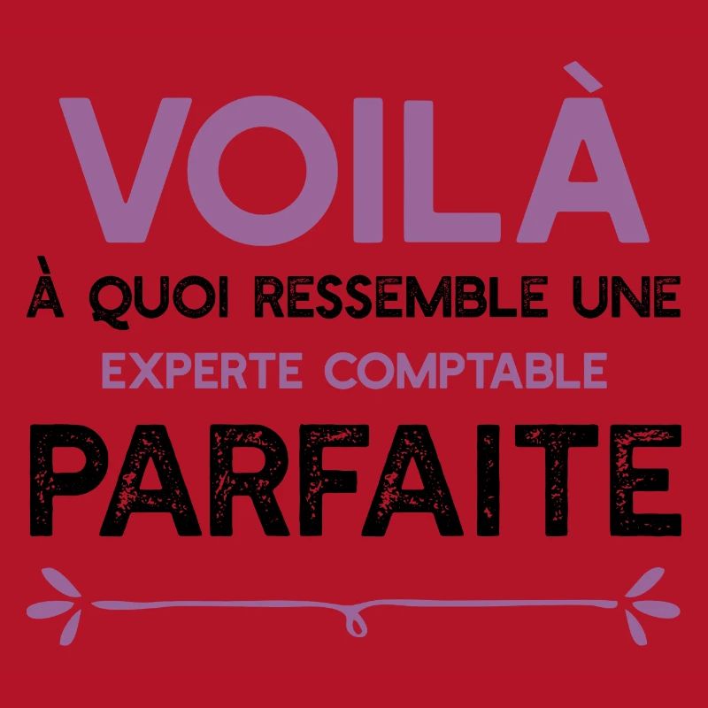Une Experte comptable parfaite cadeau