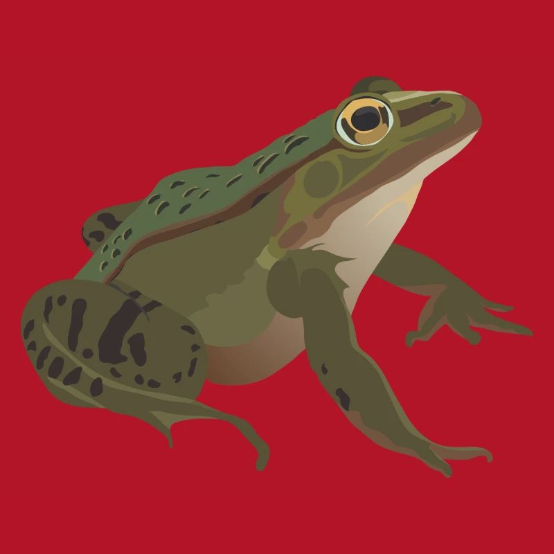 Frog mister frog toad common toad tree frog idea