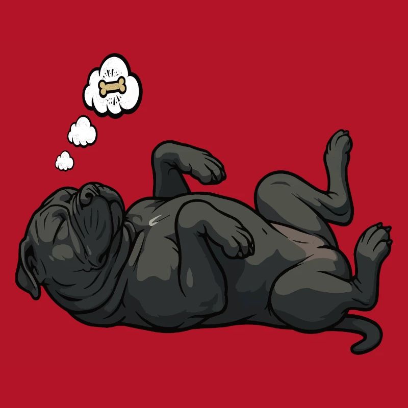 Cane Corso Cane Corsos Corso halter Corso Besitzer