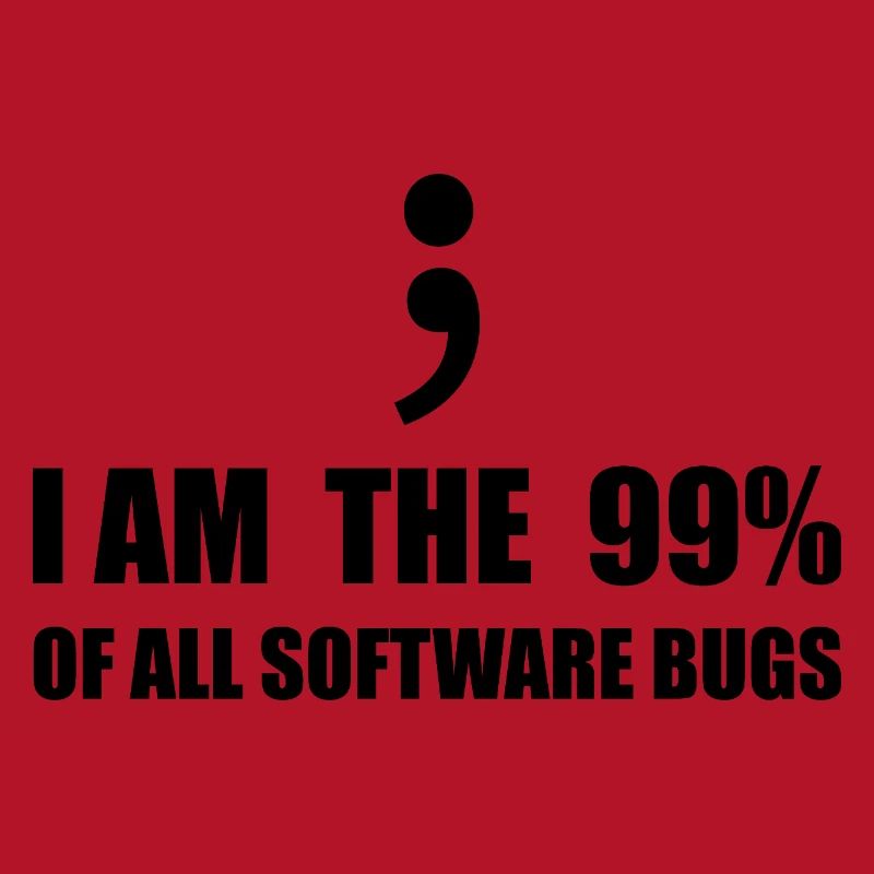 Programmeur Computer Scientist