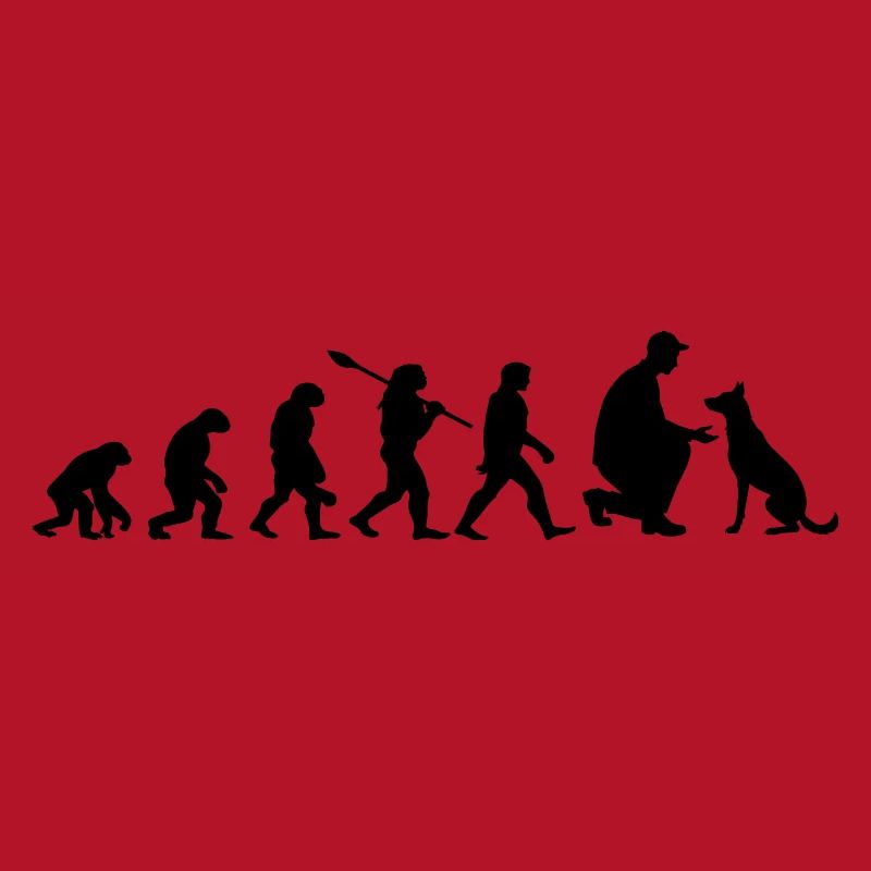 Evolution Funny Belgian Malinois Shepherd Dog