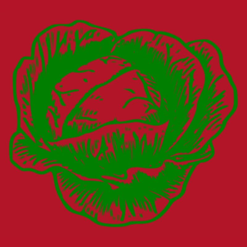 cabbage red cabbage white cabbage cabbage kale veggie gemuese