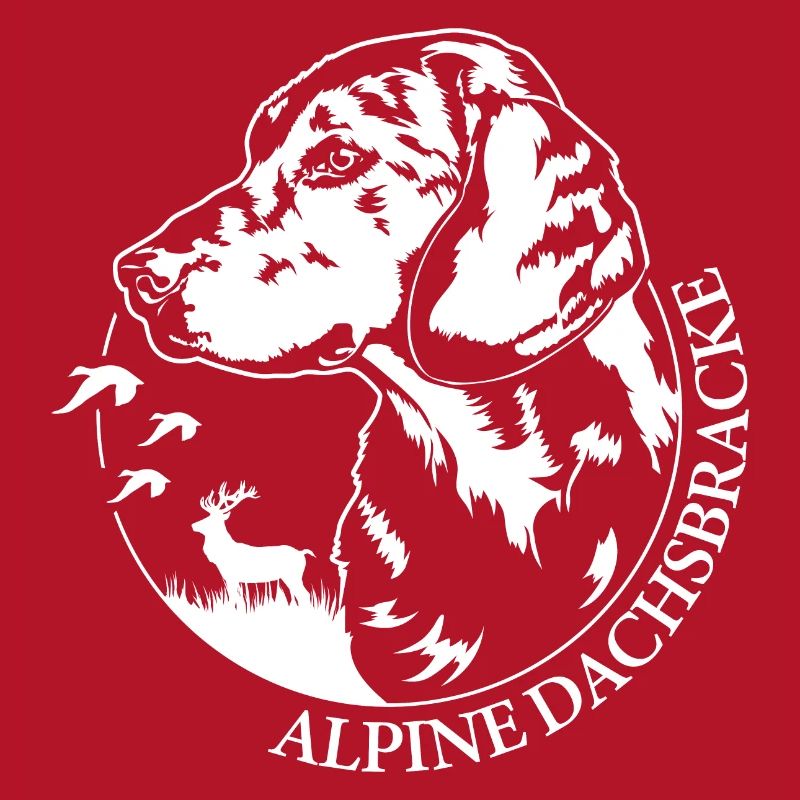 ALPINE DACHSBRACKE Hundeportrait Jagdhund Wilsigns