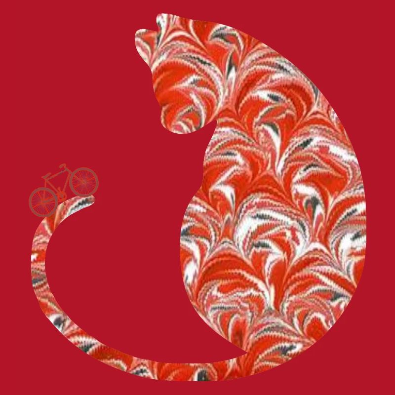 cat with bicycle e 231