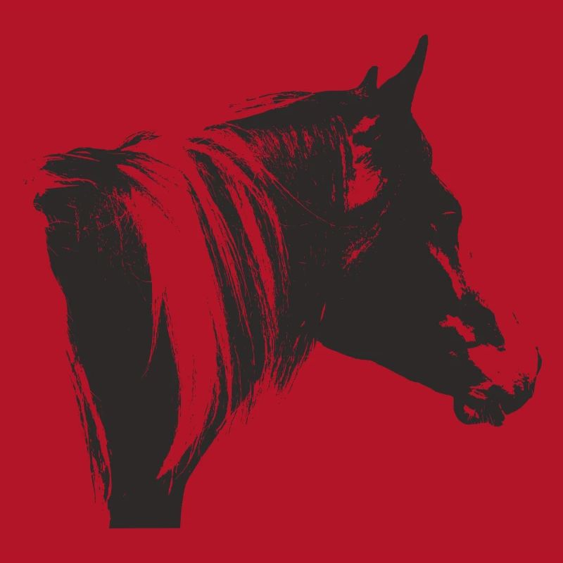 Lewitzer Schecke, Cheval Schecke, Équitation Pinto