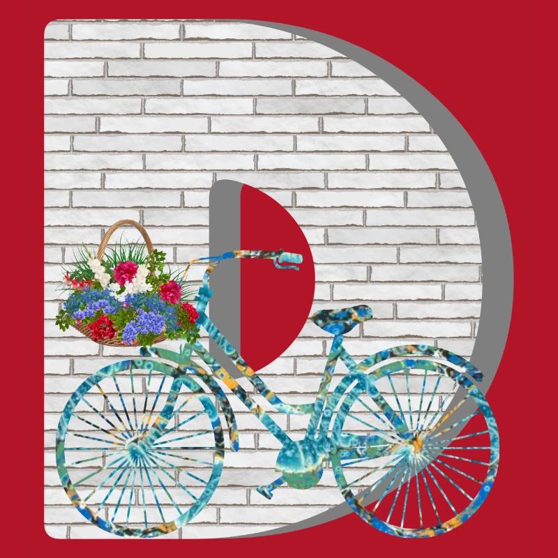 vélo e 100 d