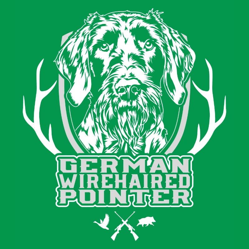 German Wirehaired Pointer Jagdhunde Hunde Wilsigns