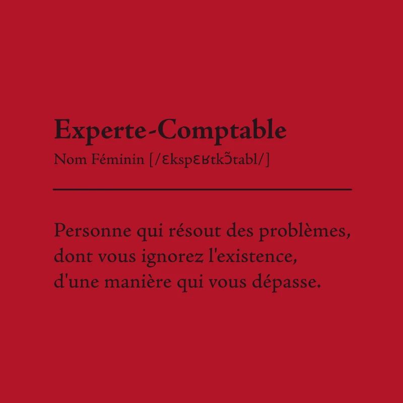 Experte Comptable Definition