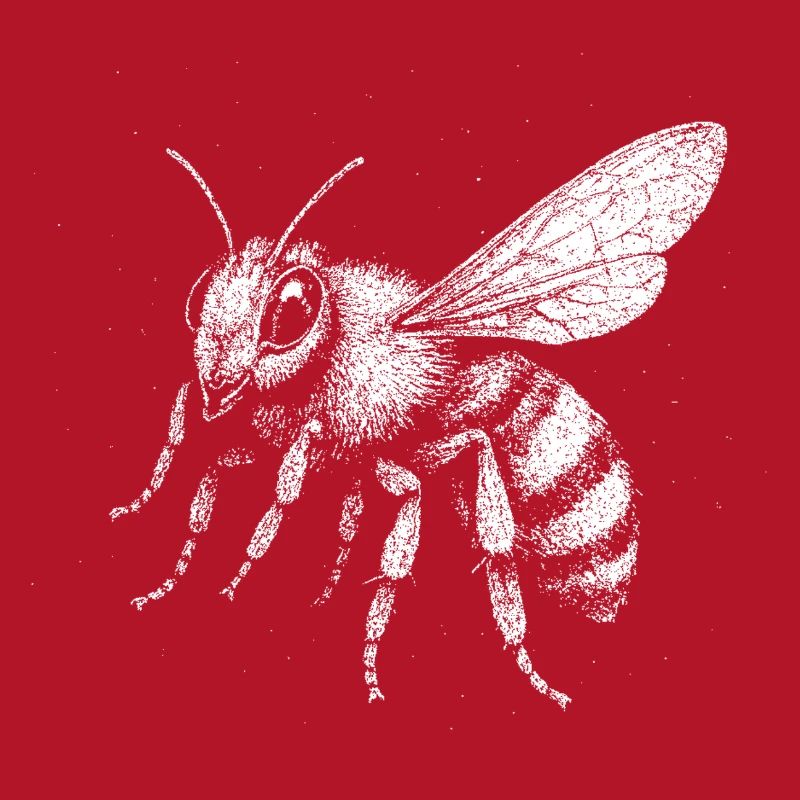 A bee