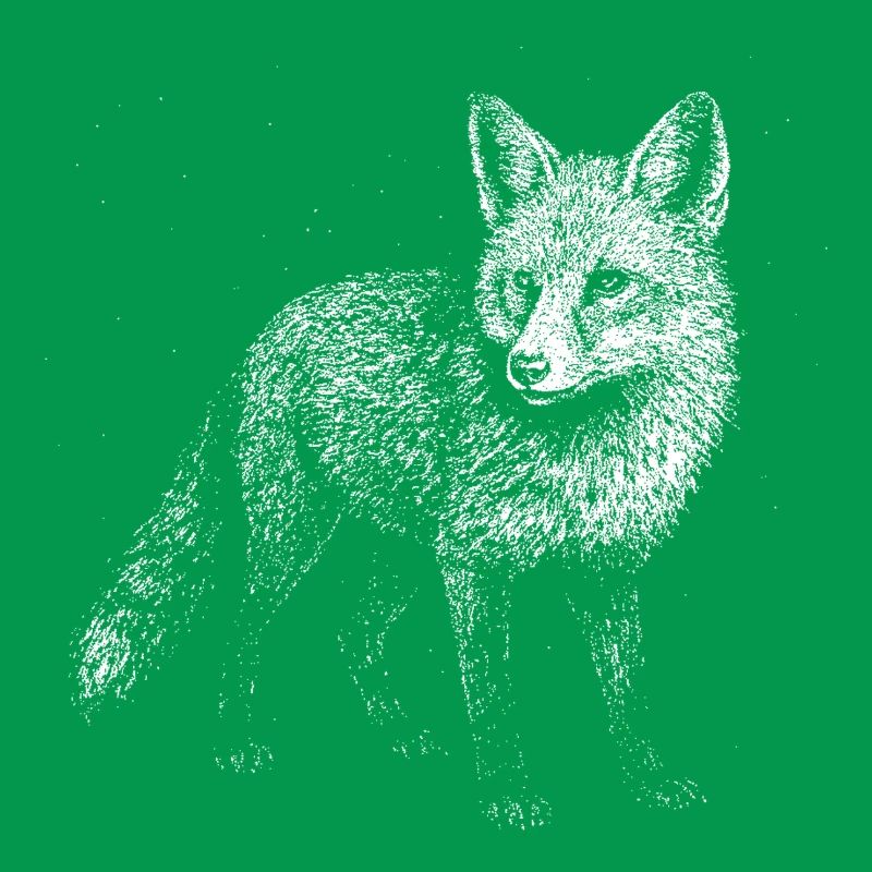 A fox