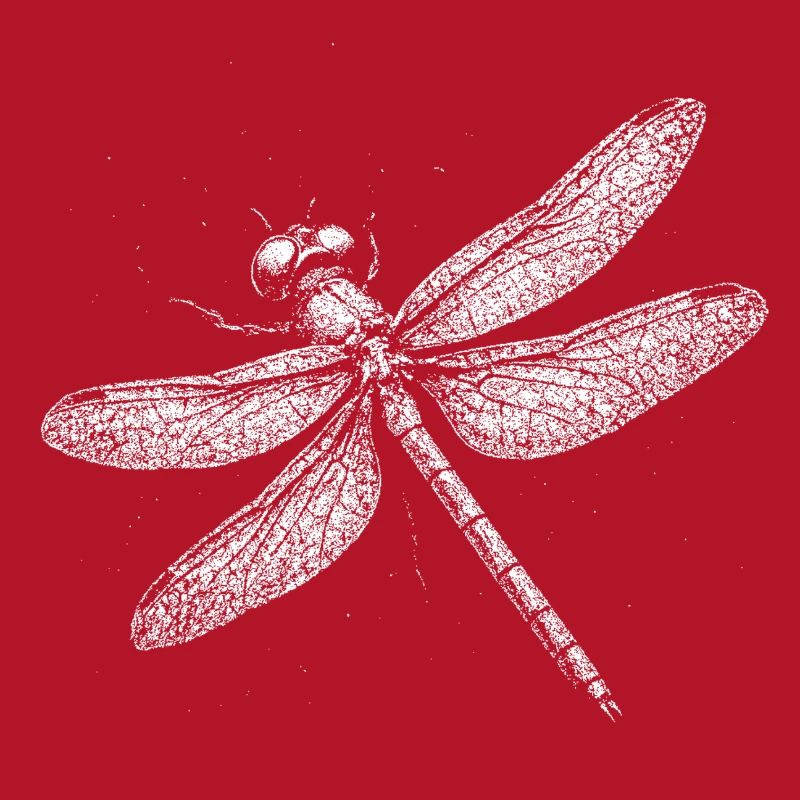 Libellule