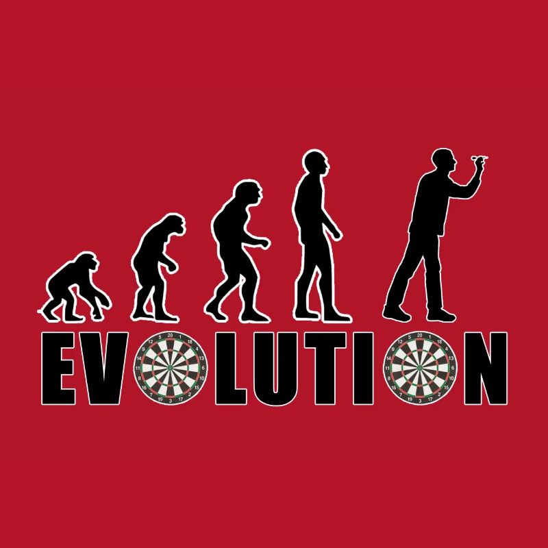EVOLUTION DARTS Game Arrow Dartboard Gift