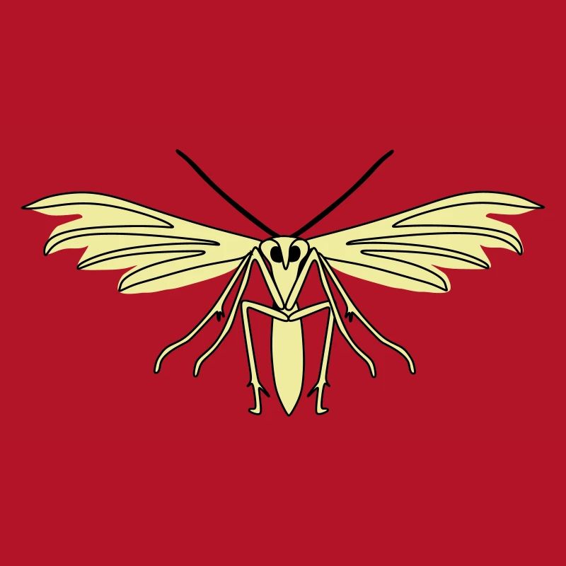 Feather moth