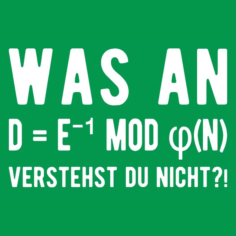 Computer Scientist Computer Science Student Programmer