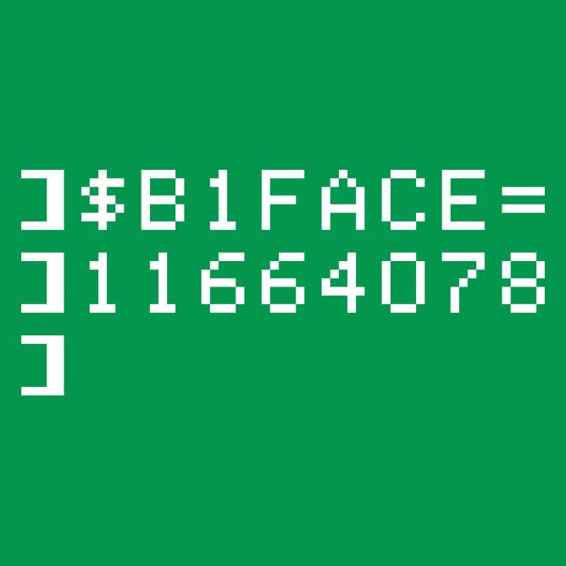 B1FACE Biface Code hexadécimal 8 bits Geek