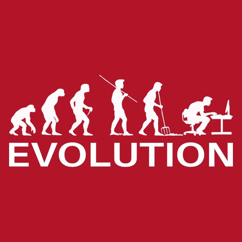 Programmeur Évolution Informaticien Développeur