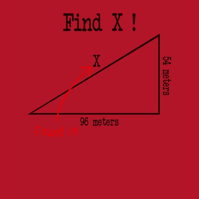 Math Math Meme Find X Found It Pythagore
