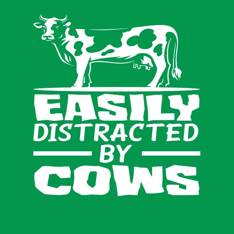 Easily distracted by cows