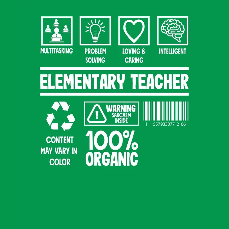 Elementary School Teacher Multitasking Problem Solving