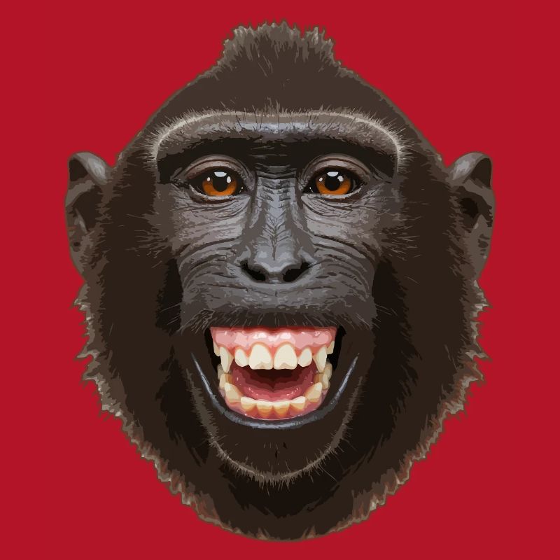 Monkey head