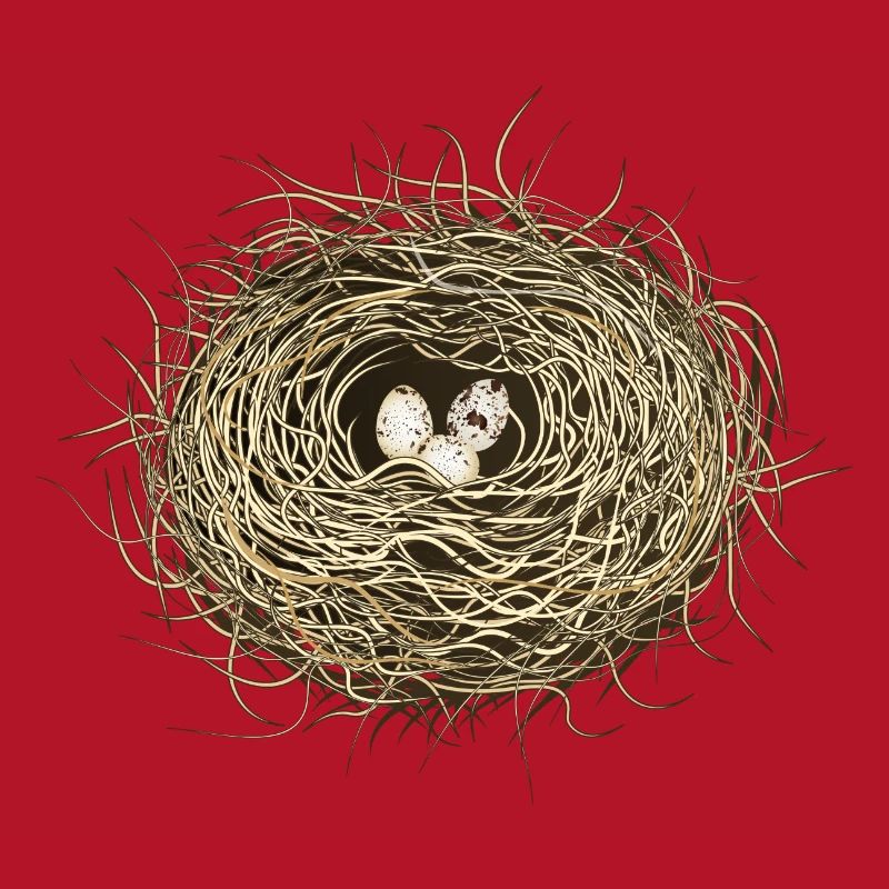 Vogelnest oder Osternest mit drei Vogel Eier