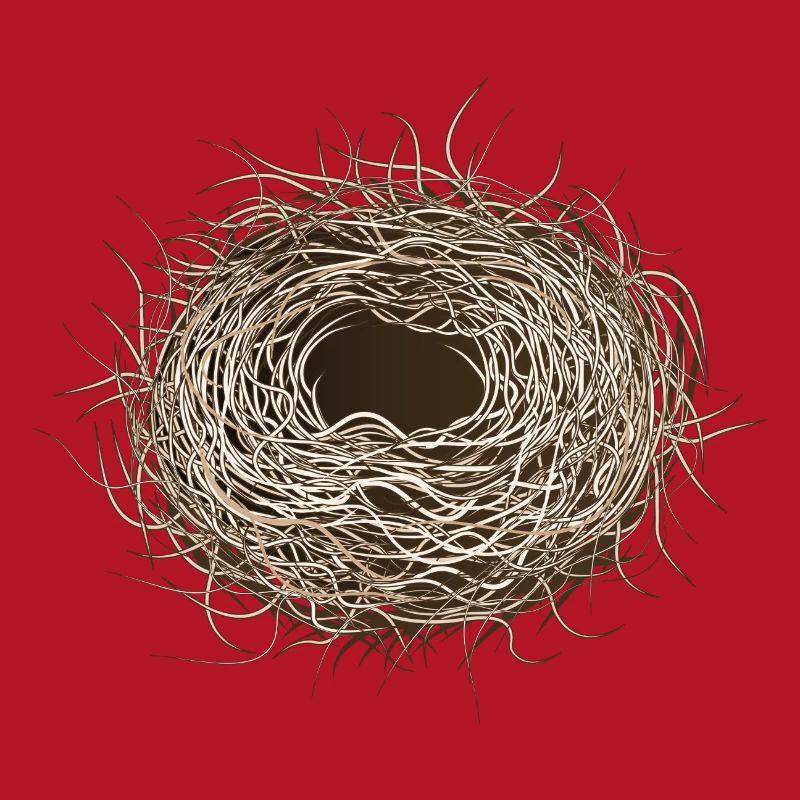 empty bird's nest or easter basket for spring