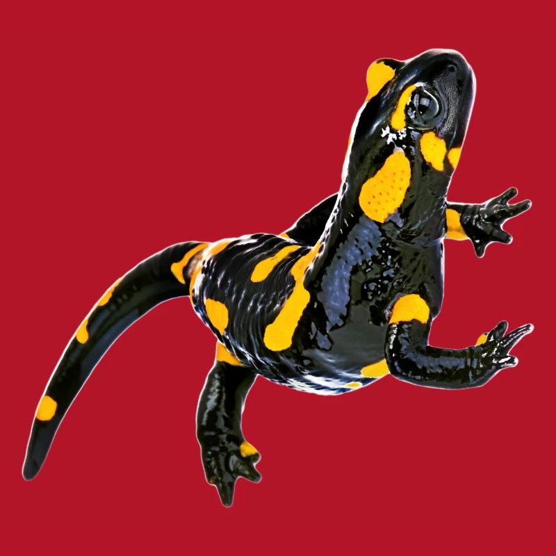 Feuersalamander