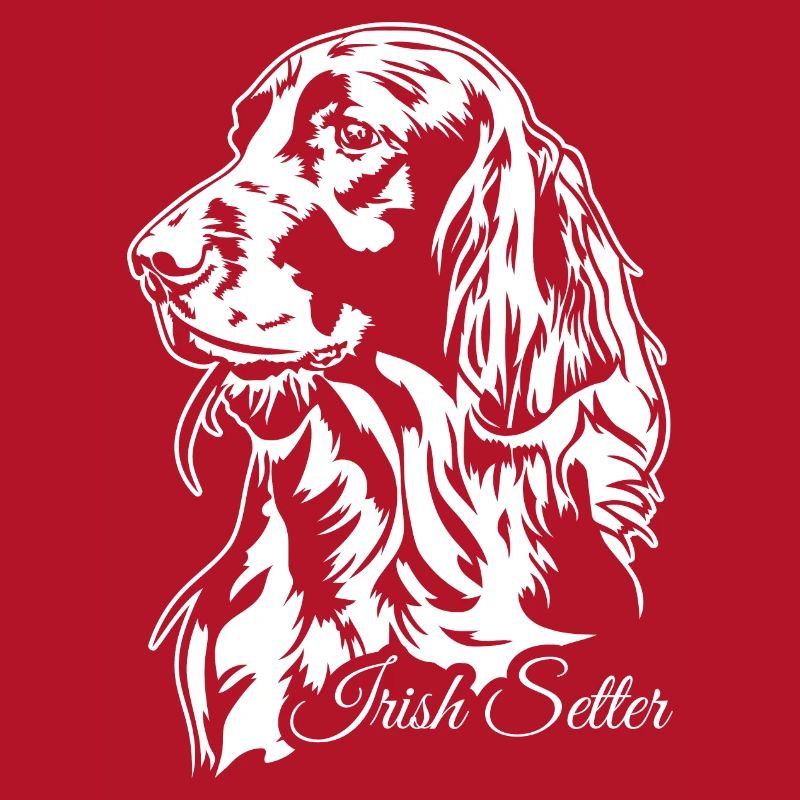Irish Setter Jagdhund Jagdhunde Hunde Wilsigns