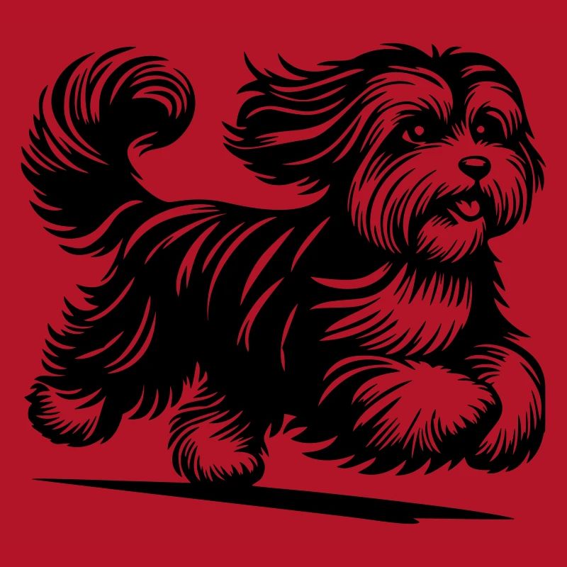 Havanese