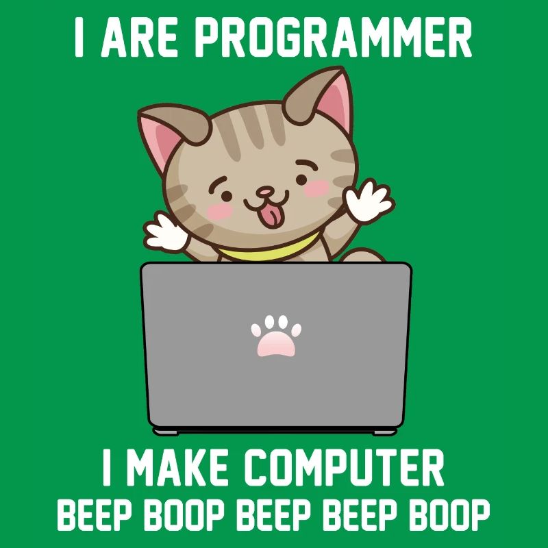 Programmer