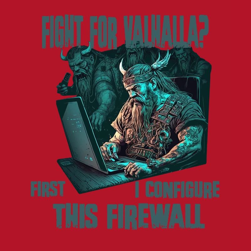 Firewall first Wikinger programmierer